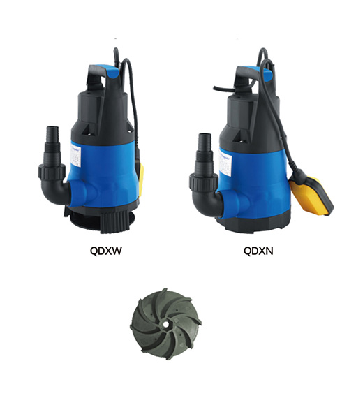QDXN